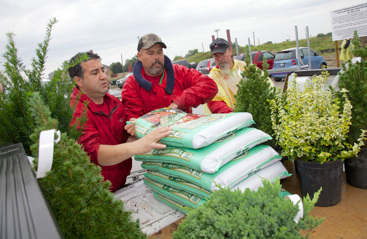 Neighbourhoods In Bloom