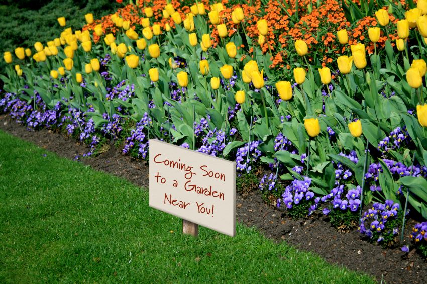 Spring Gardening Tips