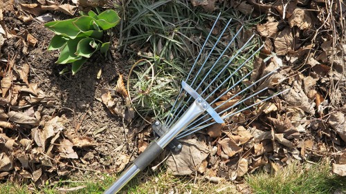 Clean up winter storm damage.