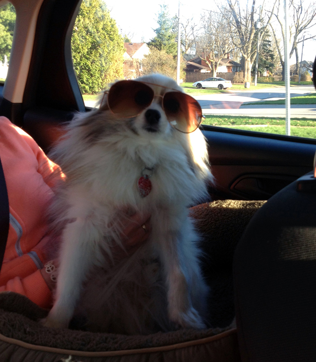 Murphy sporting the shades.