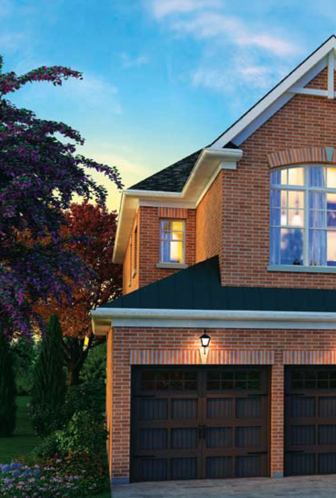 Geranium-Cardinal-Point-Feb-16-13-1