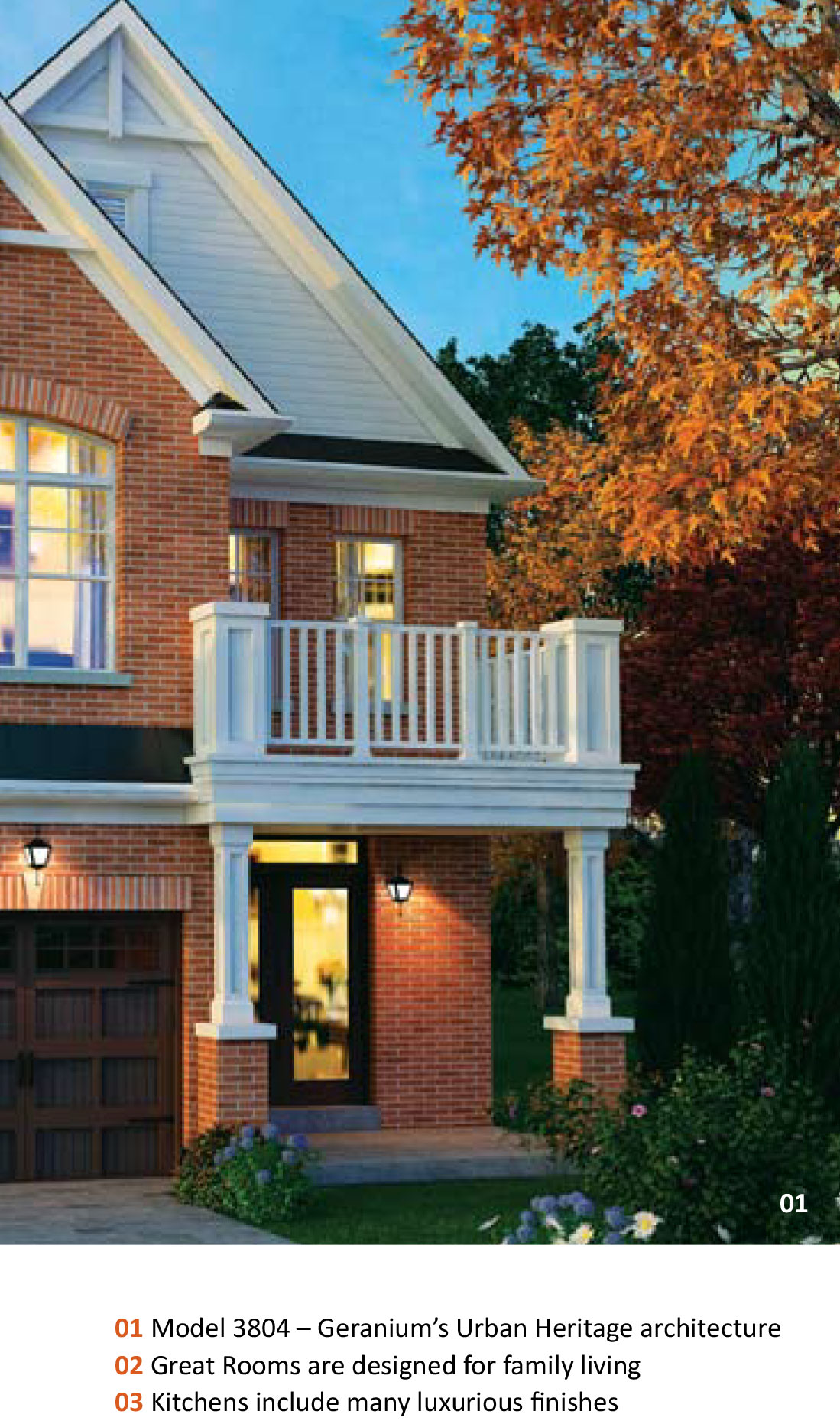 Geranium-Cardinal-Point-Feb-16-13-2s