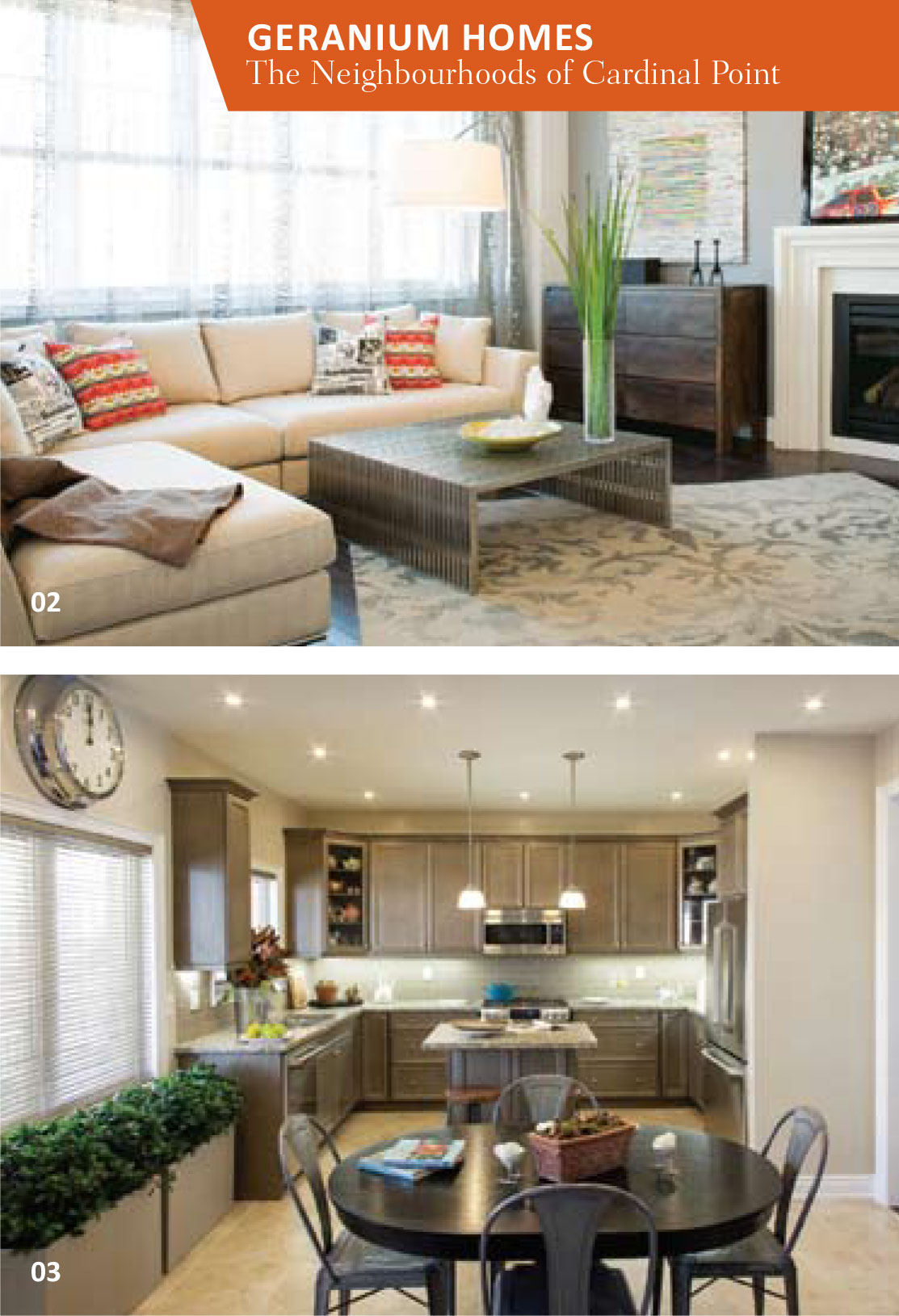 Geranium-Cardinal-Point-Feb-16-13-2sa